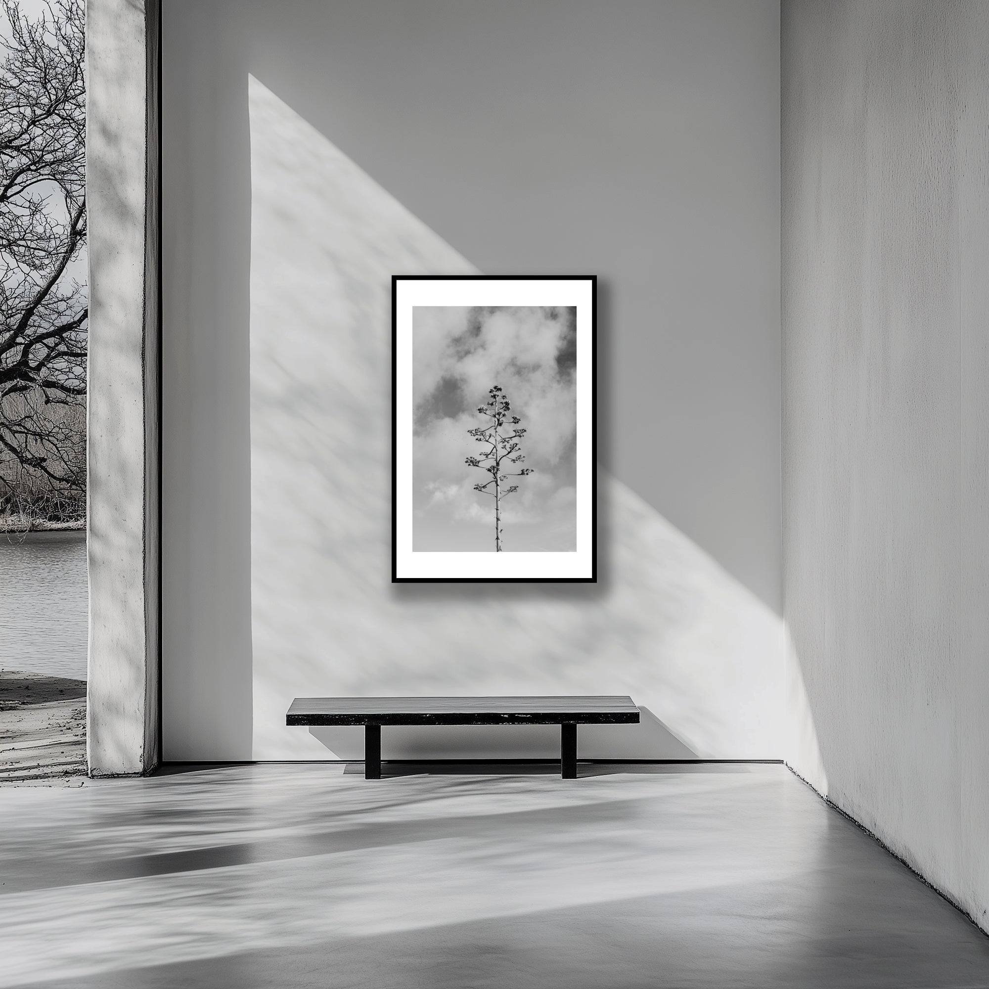 Mockup of a Black and white photograph of an agave plant’s intricate bloom stalk reaching upward, capturing the interplay of light and shadow against a minimalist background.