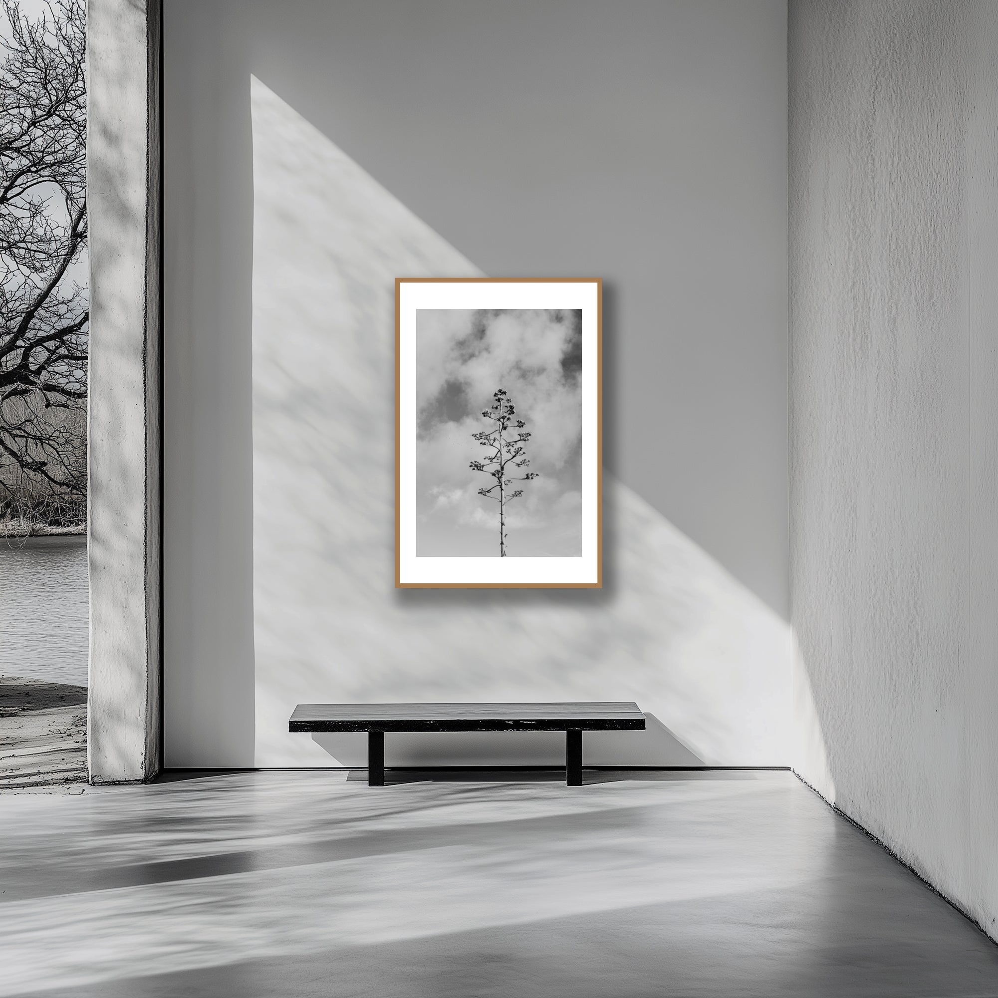 Mockup of a Black and white photograph of an agave plant’s intricate bloom stalk reaching upward, capturing the interplay of light and shadow against a minimalist background.
