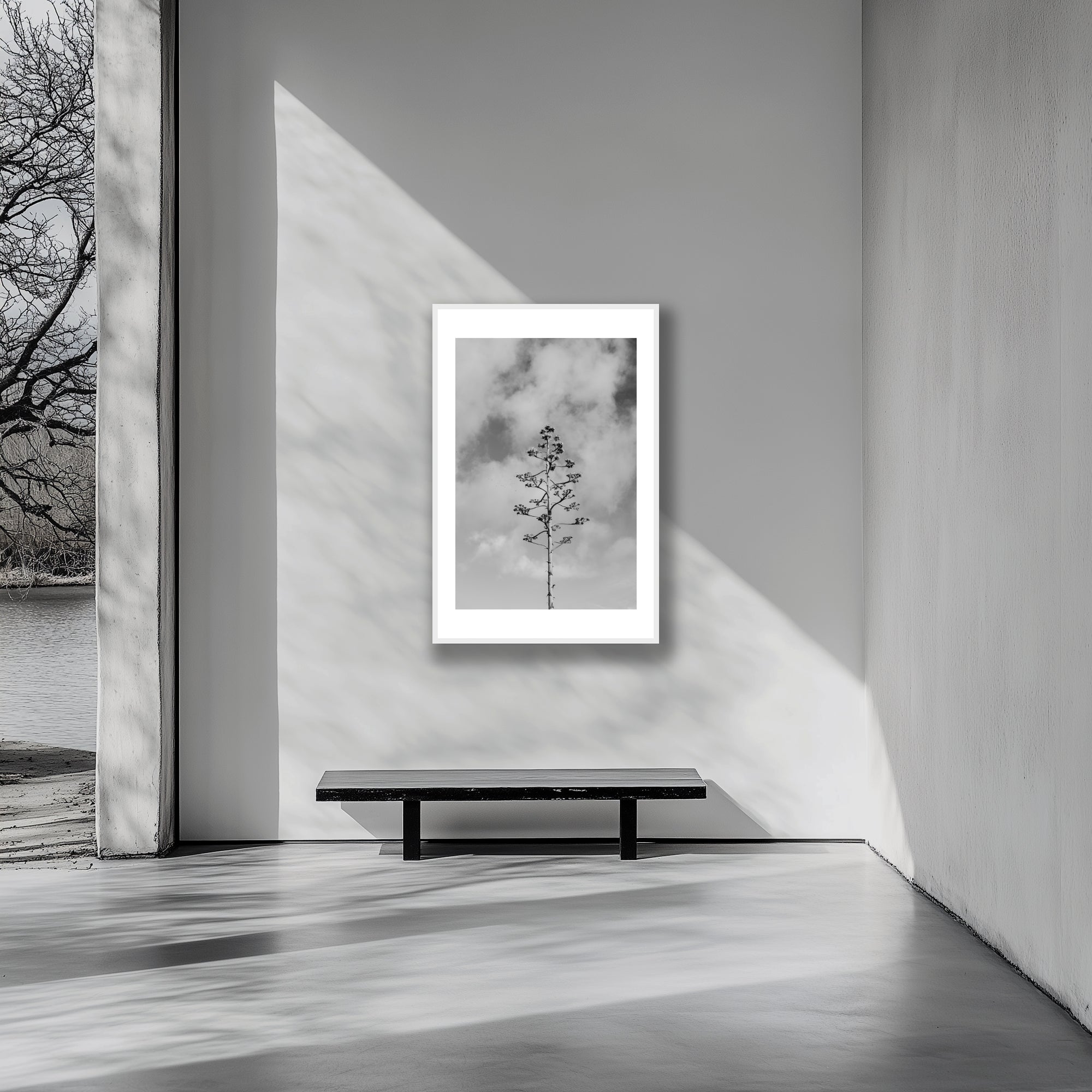 Mockup of a Black and white photograph of an agave plant’s intricate bloom stalk reaching upward, capturing the interplay of light and shadow against a minimalist background.