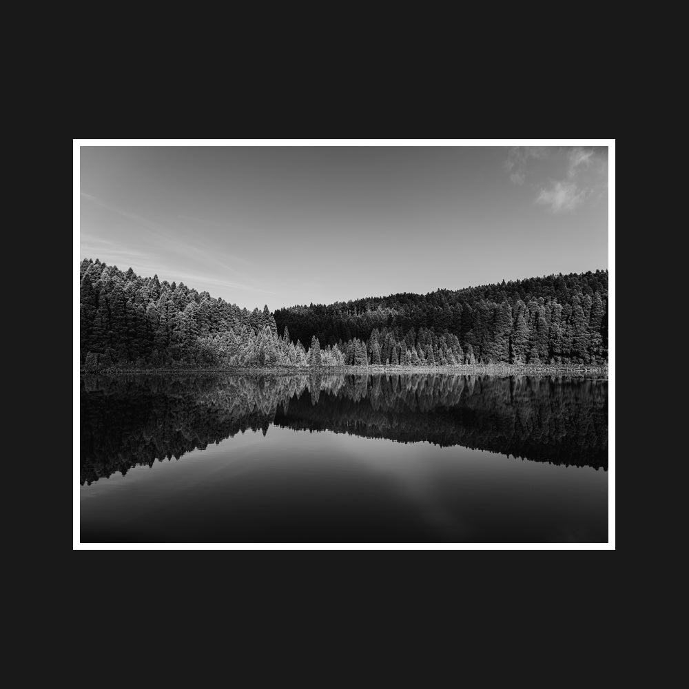 Arborophonique