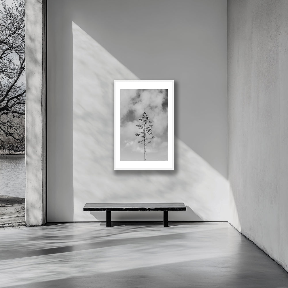 How to Choose the Perfect Art Print for Your Space