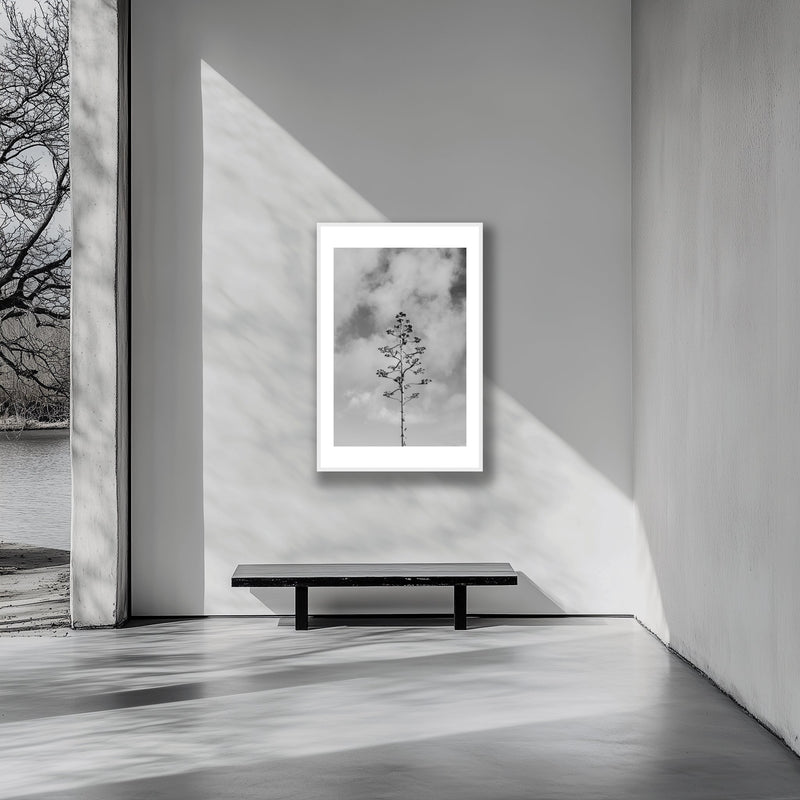 How to Choose the Perfect Art Print for Your Space